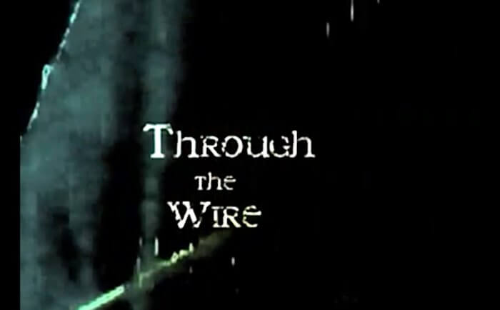 Through The Wire by Pip Starr