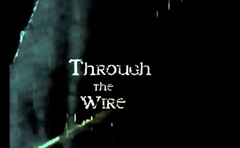 Through The Wire by Pip Starr