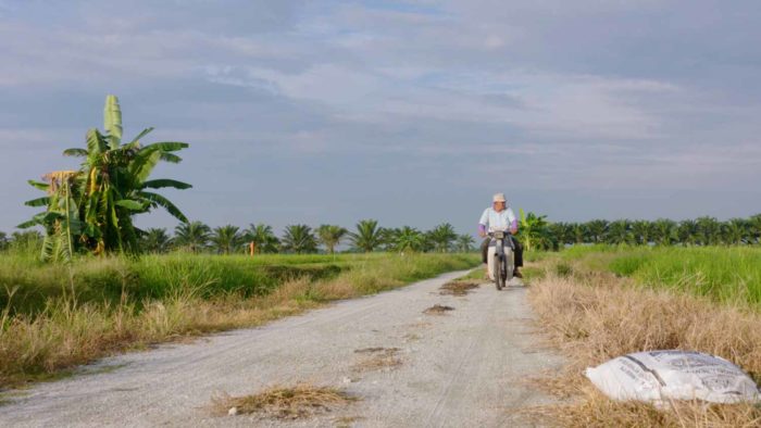 Petani Bukan Pemalas (Farmers Are Not Lazy), Malaysia